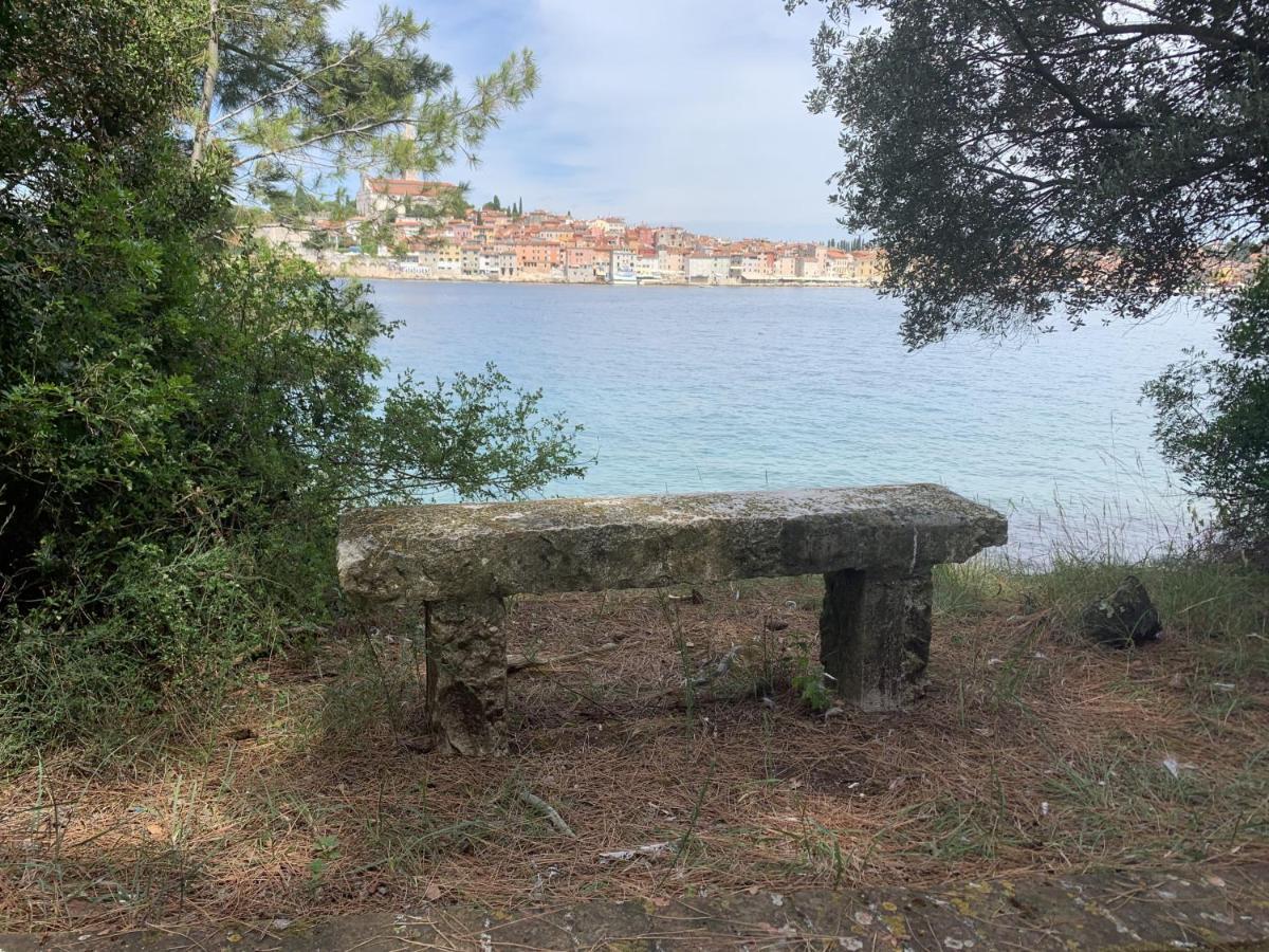 "Art House" Rovinj-Holiday, Holiday Home To Rent Ровинско село Екстериор снимка